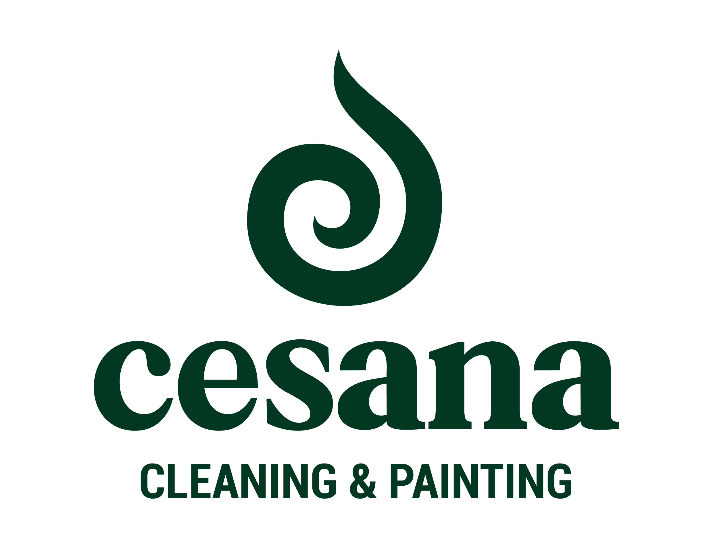 cesanapainting.com